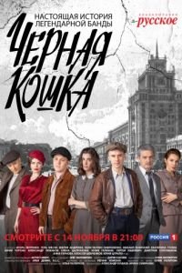 Черная кошка